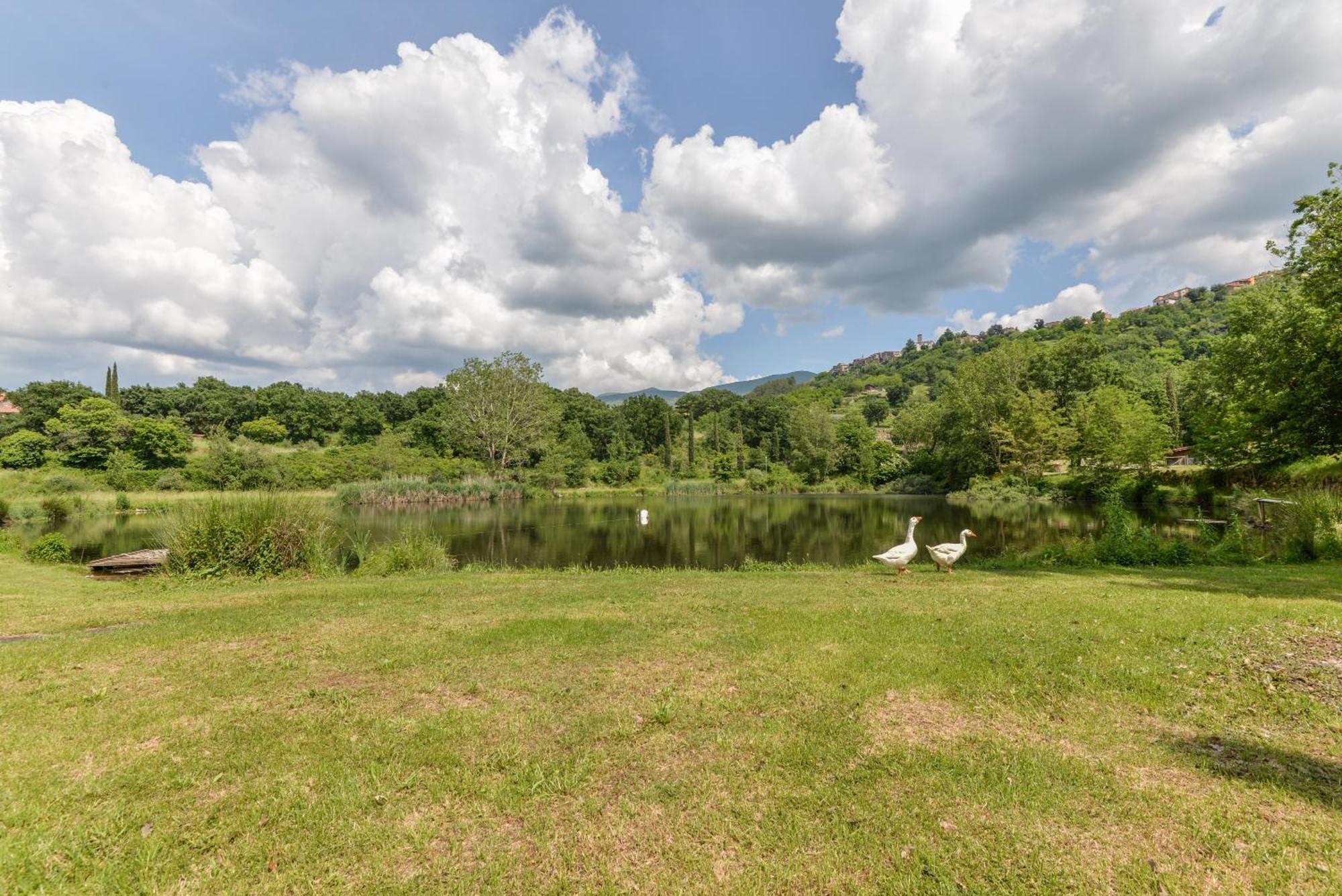 3 Charming Private Home With Pool, Bbq, Wi-Fi & Free Parking Castel del Piano (Tuscany) Exterior photo